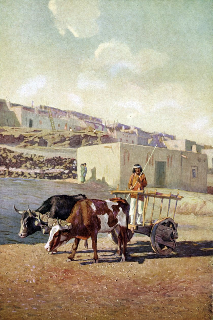 Kahden härän vetämä vanha caretta (kärry), jota ajaa Pueblo-kansan intiaani Lagunassa, New Mexicossa. tekijältä Unknown artist