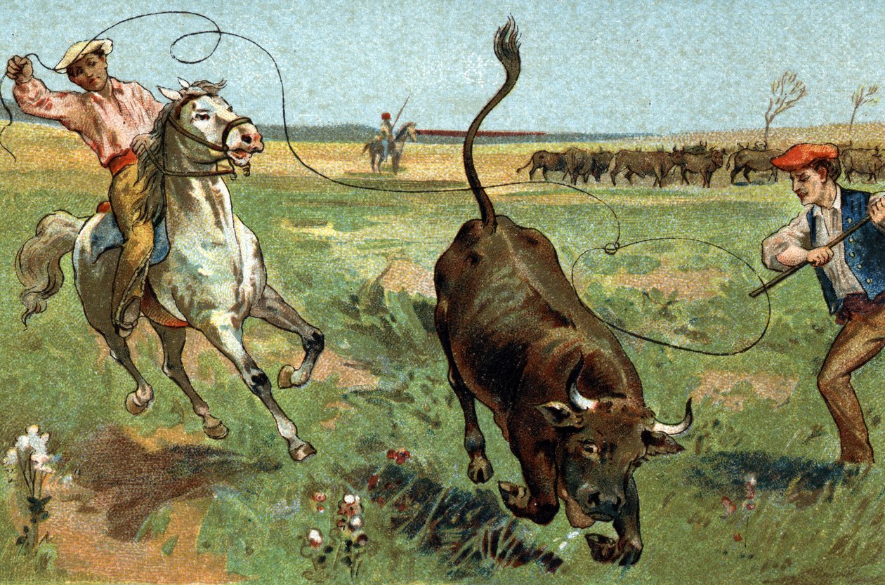 Provencen alueella vietetty vanha tapa: ferrade Camarguessa. 1800-luvun lopun kromolitografia. tekijältä Unknown artist