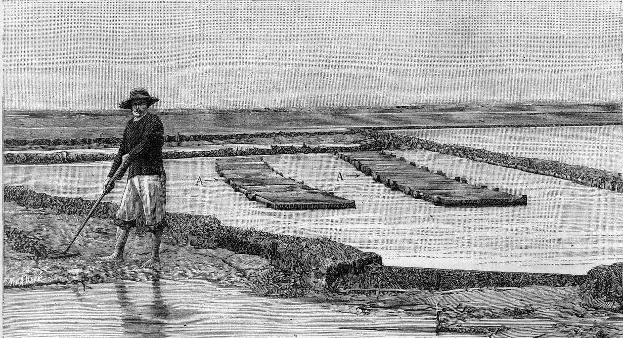 Ostreiculture - osterien viljely Arcachonin altaalla (1894): yleiskuva osteripuistosta. A, A: ambulanssit tai ostreofiiliset laatikot. (Valokuvasta). Kaiverrus "" La Nature: revue des sciences et de leurs applications aux arts et a l