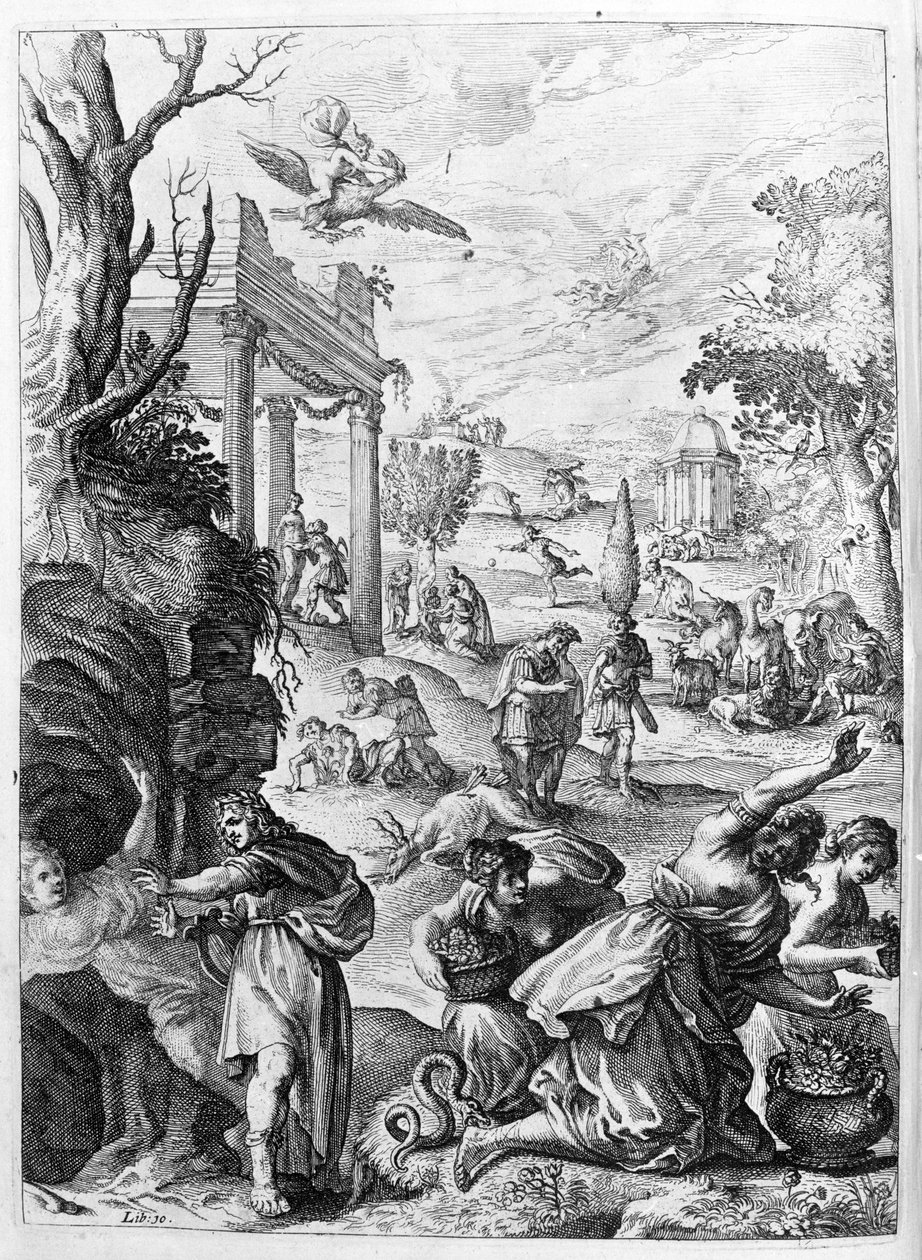 Ovidius (Ovidius) - kuvitus kirjalle 15 - (P. Ovidian Metamorphoses of the Night tekijältä Unknown artist