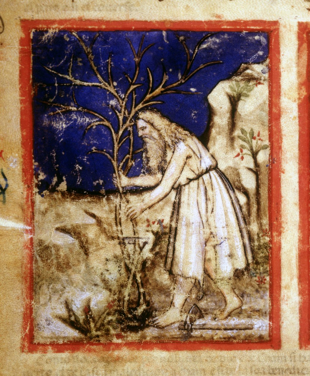 Raamatun käsikirjoituksen sivu. Nooan kasvillisuus. Miniatyyrit Codex 212:sta (tai Padovano-koodista tai Padovan Raamatusta) 1390-1400 Rovigo, Accademia dei Concordi tekijältä Unknown artist