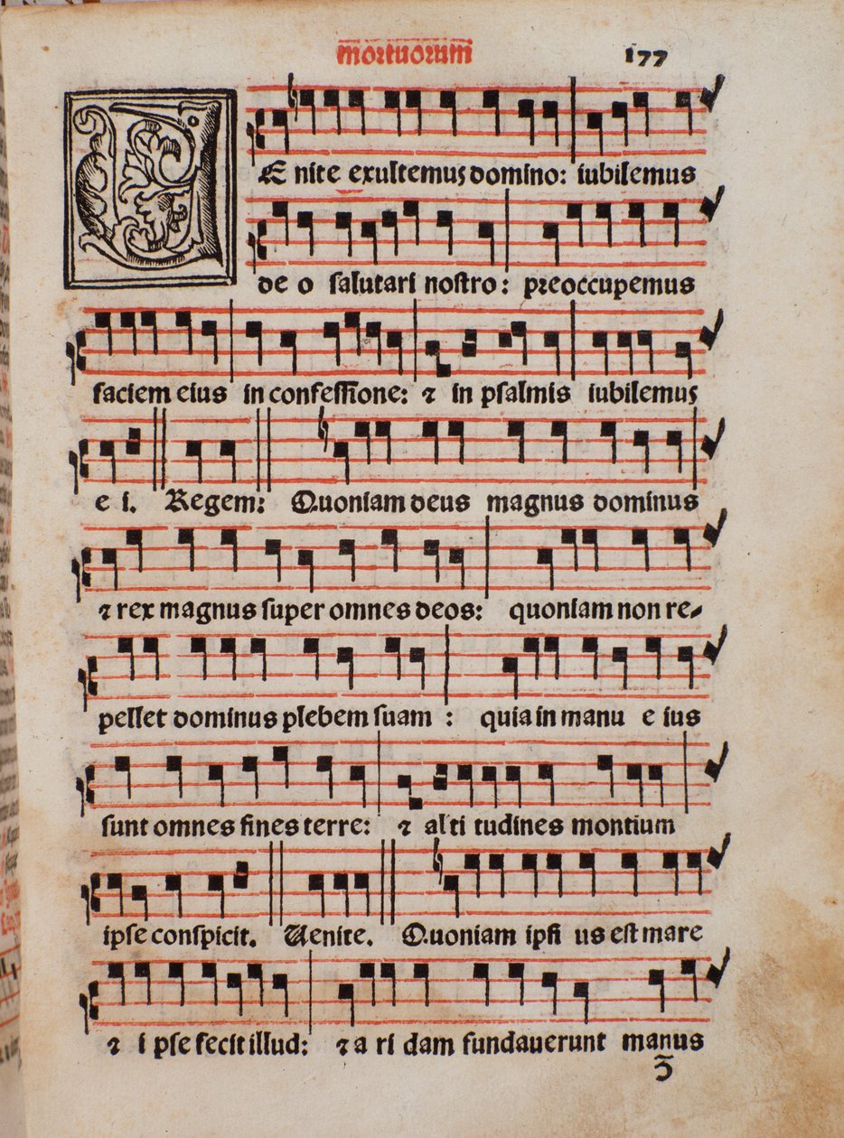 Sivu Castellinin liturgiakirjasta "The Priestly Book". tekijältä Unknown artist