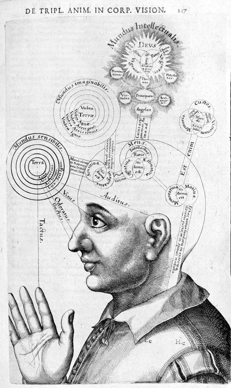 Fysiognomiakuva (frenologia) Robert Fluddin (Robertus de Fluddin) kerätyistä teoksista. Lontoo 1617 tekijältä Unknown artist