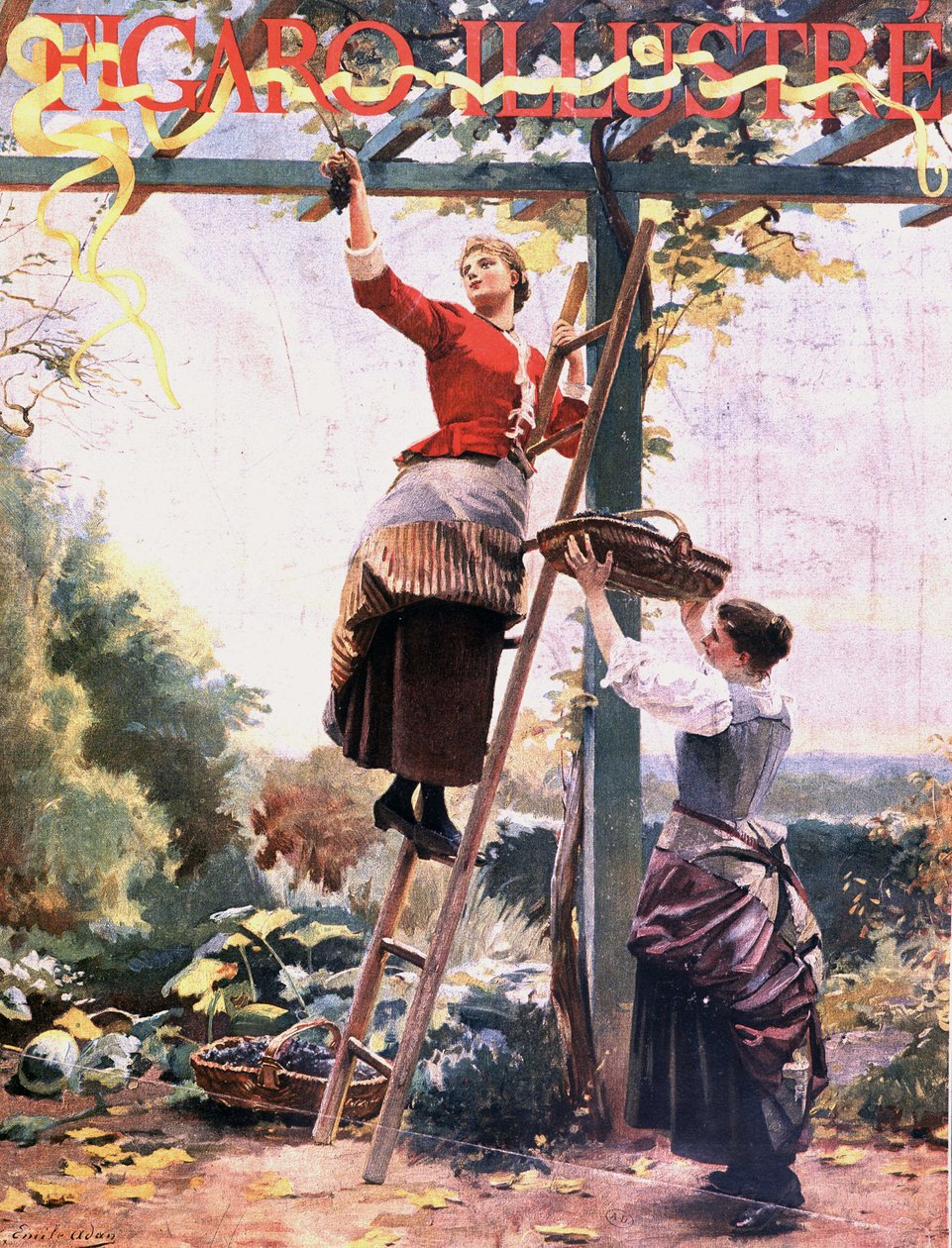 Rypäleiden poiminta ripustetuista viiniköynnöksistä - "" Figaro illustréssa"", lokakuu 1891 tekijältä Unknown artist