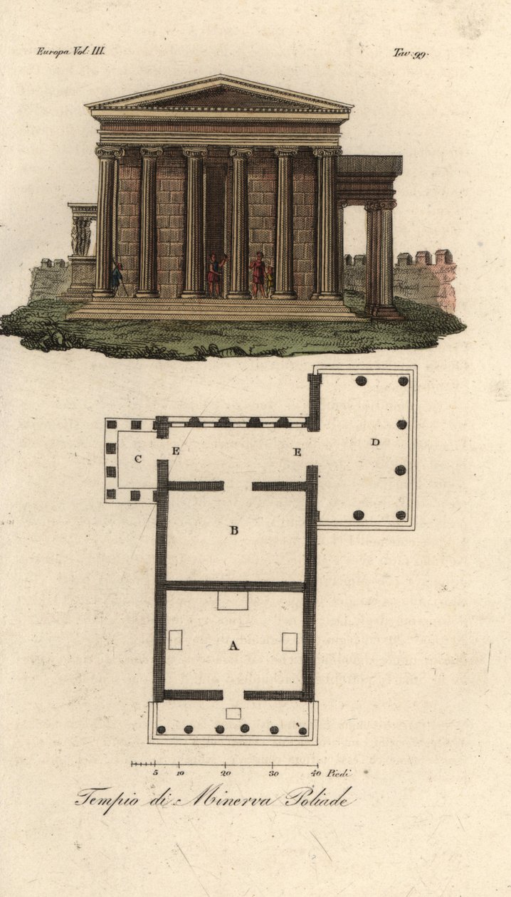Erechtheionin tai Erechtheum A:n, Neptunuksen B temppelin, Minerva Poliasin temppelin ja Caryatidien C kuistilla sekä Pandrosuksen tai Pandrosion D:n temppelin suunnitelma ja korkeus tekijältä Unknown artist