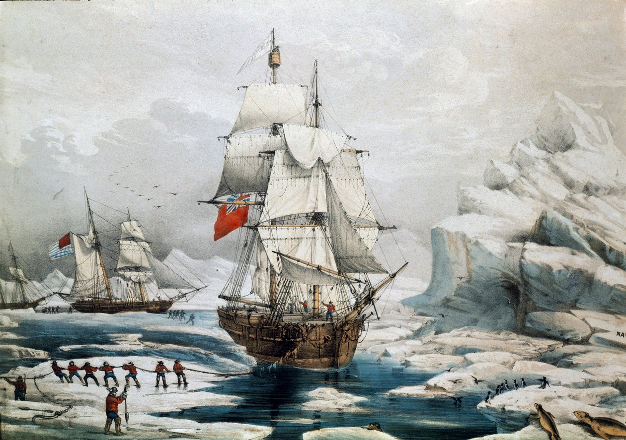 Polar Expedition in the Arctic: Englantilaiset ja amerikkalaiset alukset jään loukkuun (1800-luvun painos) tekijältä Unknown artist