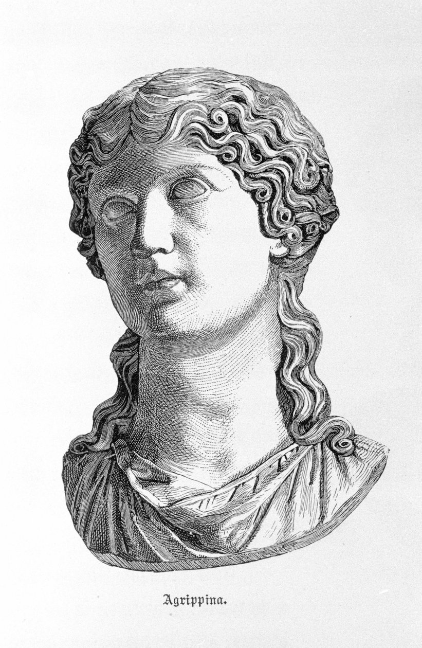 Muotokuva Agrippine nuoresta (16-59). tekijältä Unknown artist