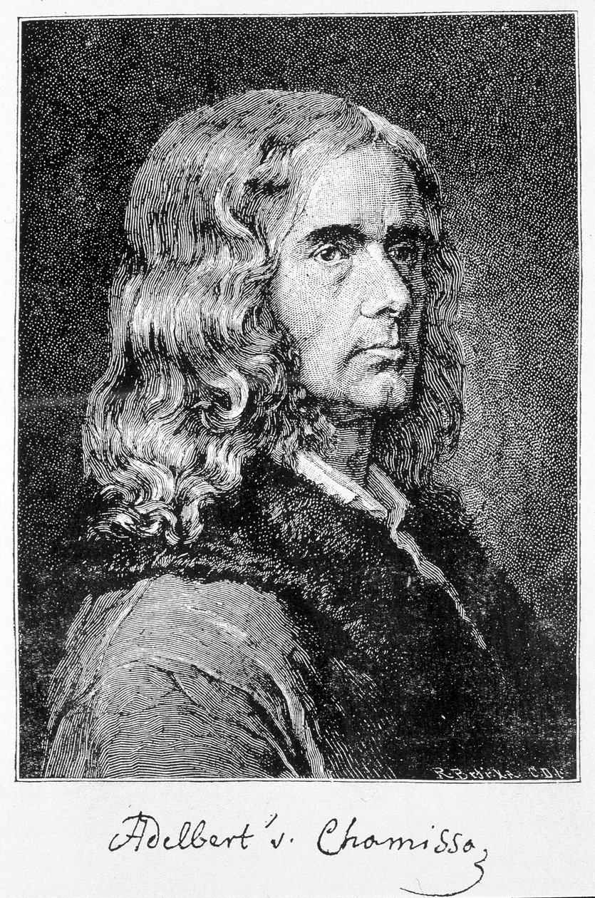 Aldebert Von Chamisso de Boncourtin (1781-1838), ranskalaisen alkuperän saksalaisen kirjailijan ja tutkijan muotokuva - kaiverrus tekijältä Unknown artist