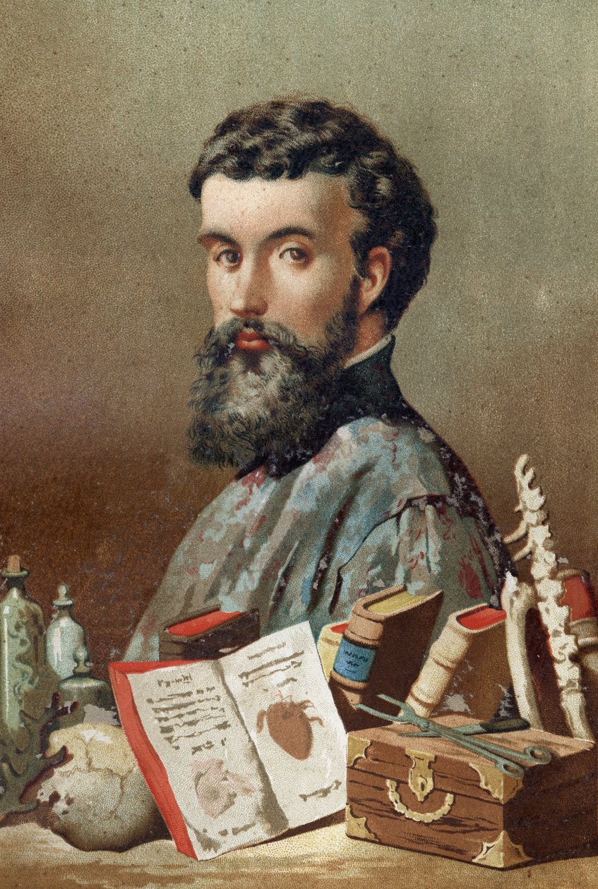 André Vésalen (1514-1564), hollantilaisen anatomin (latinaksi Andrea Vesalius, hollanniksi Andries Van Wesel) muotokuva Louis Figuierin "Tiede ja sen miehet". Barcelona 1881. tekijältä Unknown artist