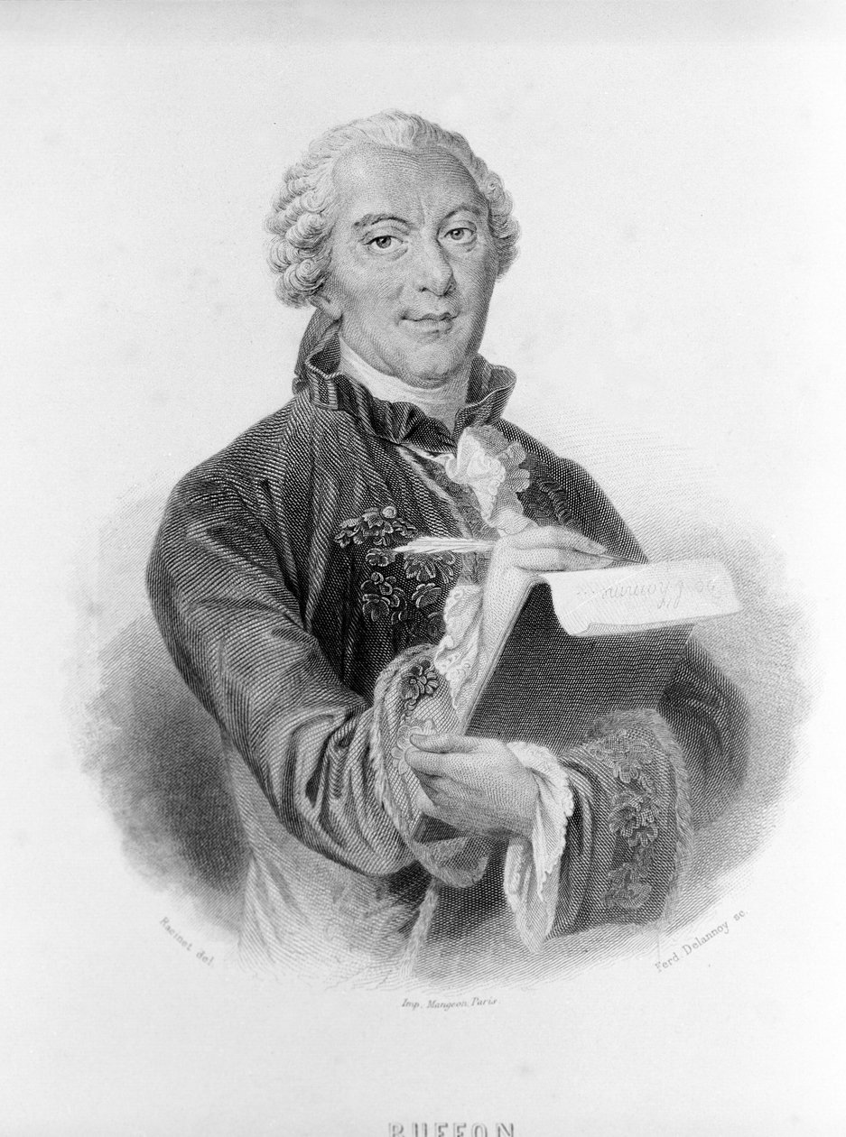 Muotokuva Buffonista (1707 - 1788), ranskalainen luonnontieteilijä ja kirjailija. tekijältä Unknown artist