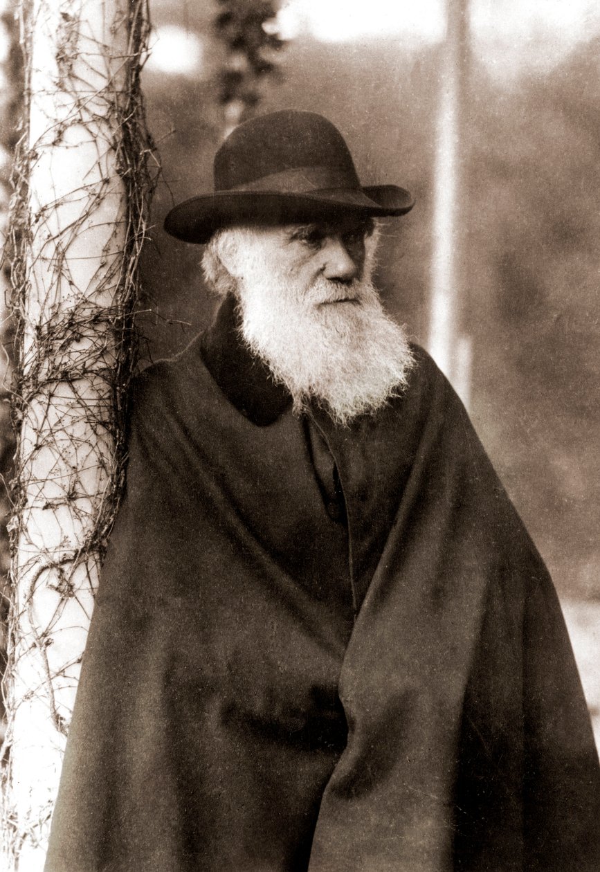 Charles Darwinin (1809-1882) muotokuva tekijältä Unknown artist