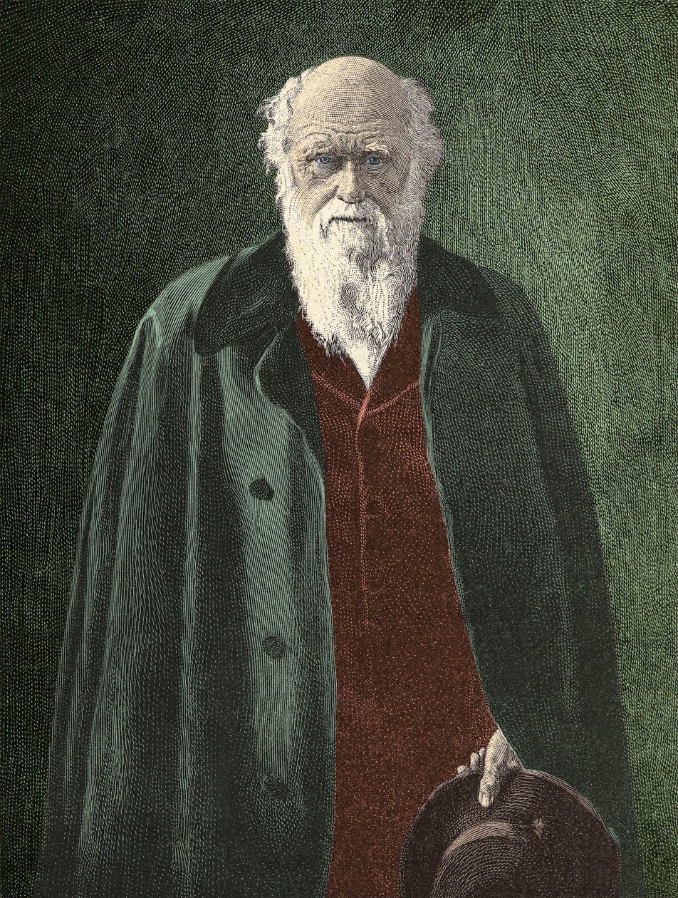 Charles Darwinin muotokuva (1809 - 1882) tekijältä Unknown artist