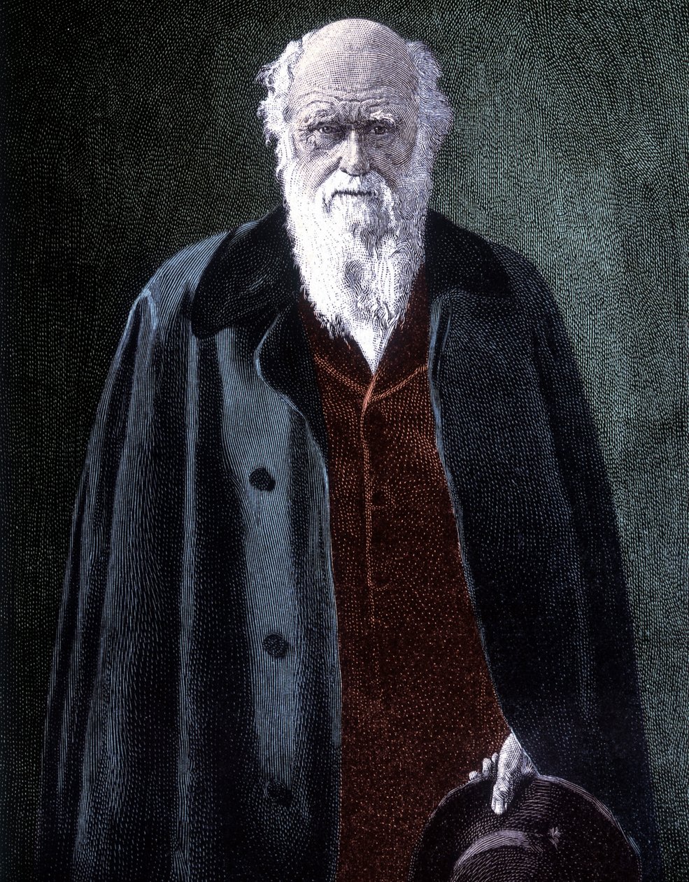 Charles Darwinin muotokuva, brittiläinen luonnontieteilijä (1809 - 1882) tekijältä Unknown artist