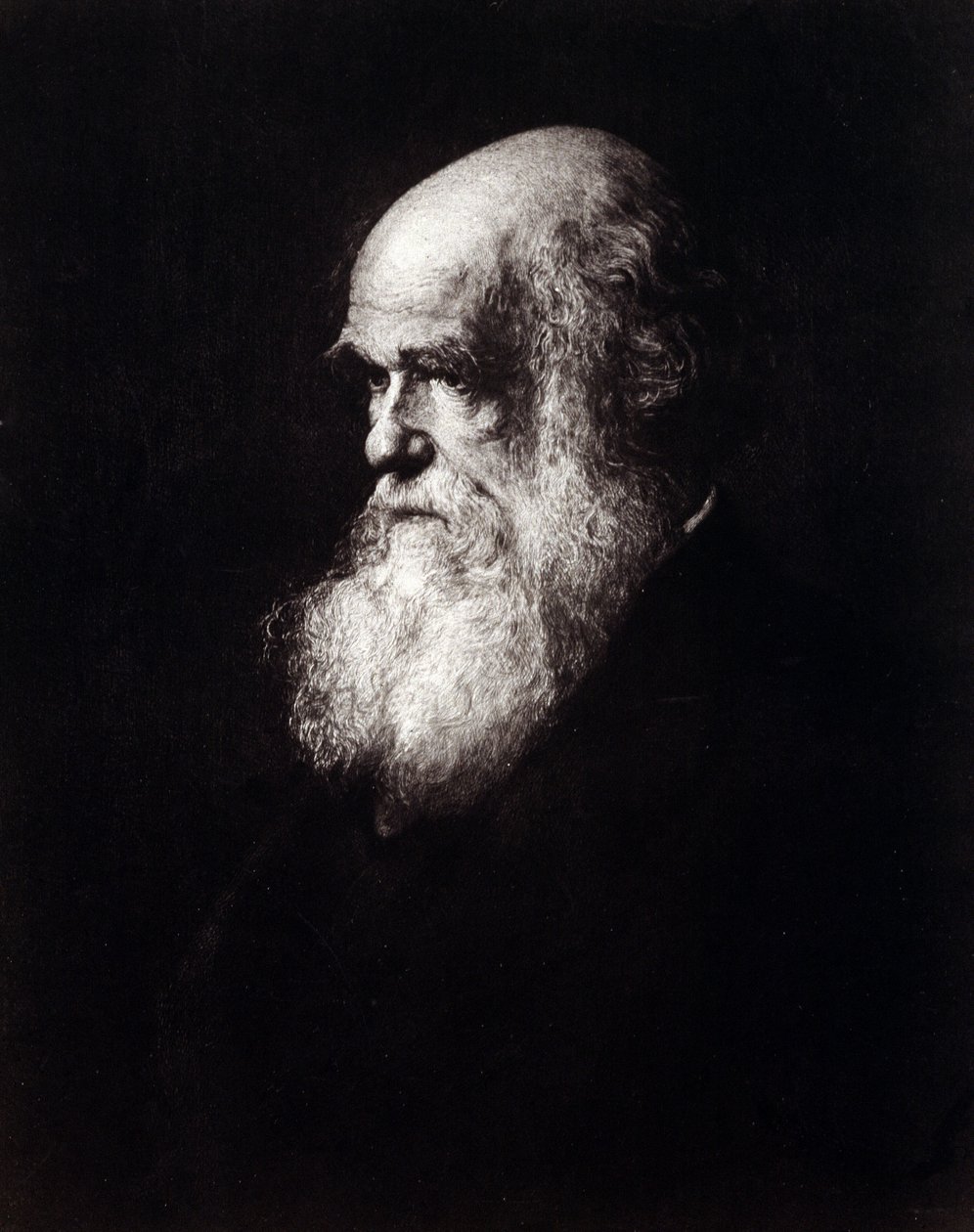 Muotokuva Charles Robert Darwinista (1809 - 1882) tekijältä Unknown artist