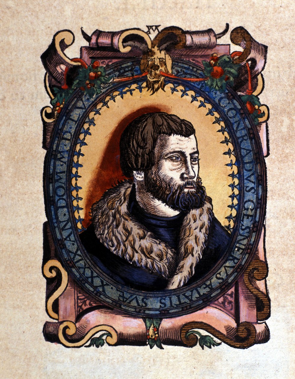 Conrad Gesnerin muotokuva (1516 - 1565) Zürichin lääkäri Conrad Gesnerin Historia Animaliumin mukaan, Tiguri 1560. Biblioteca Nazionale Braidense. Milano tekijältä Unknown artist