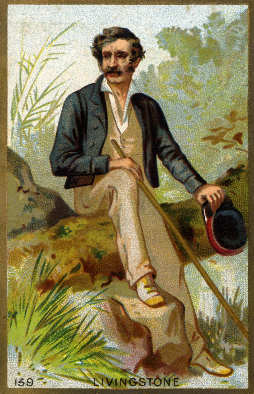 David Livingstonen (1813-1873), brittiläisen lähetyssaarnaajan ja tutkimusmatkailijan muotokuva. tekijältä Unknown artist