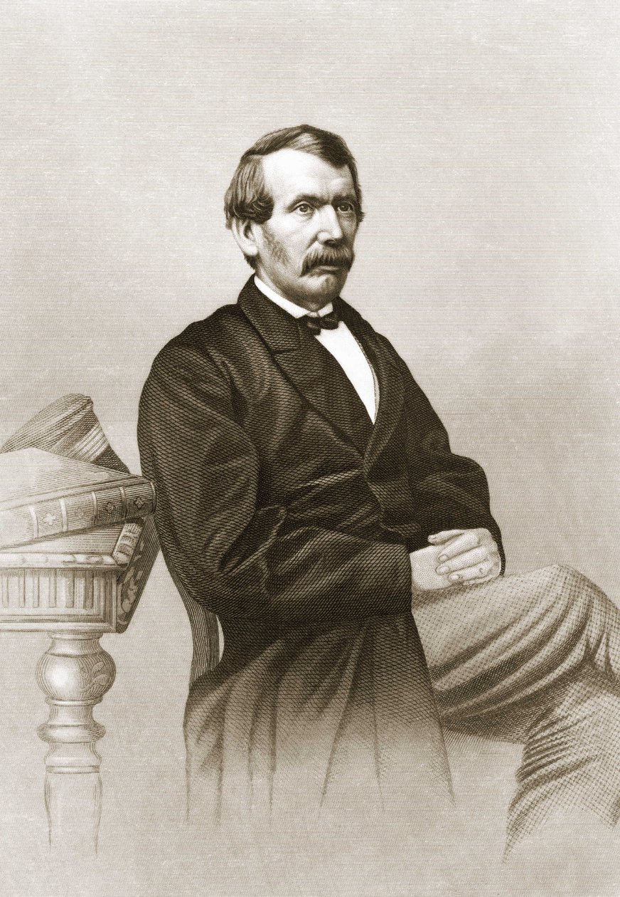 Muotokuva David Livingstonesta (1813 - 1873). tekijältä Unknown artist