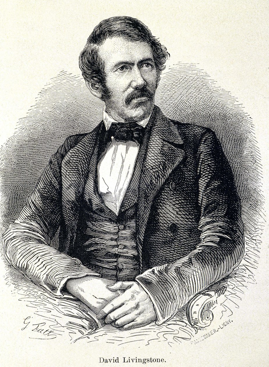 David Livingstonen muotokuva, skotlantilainen lähetyssaarnaaja (1813-1873) tekijältä Unknown artist