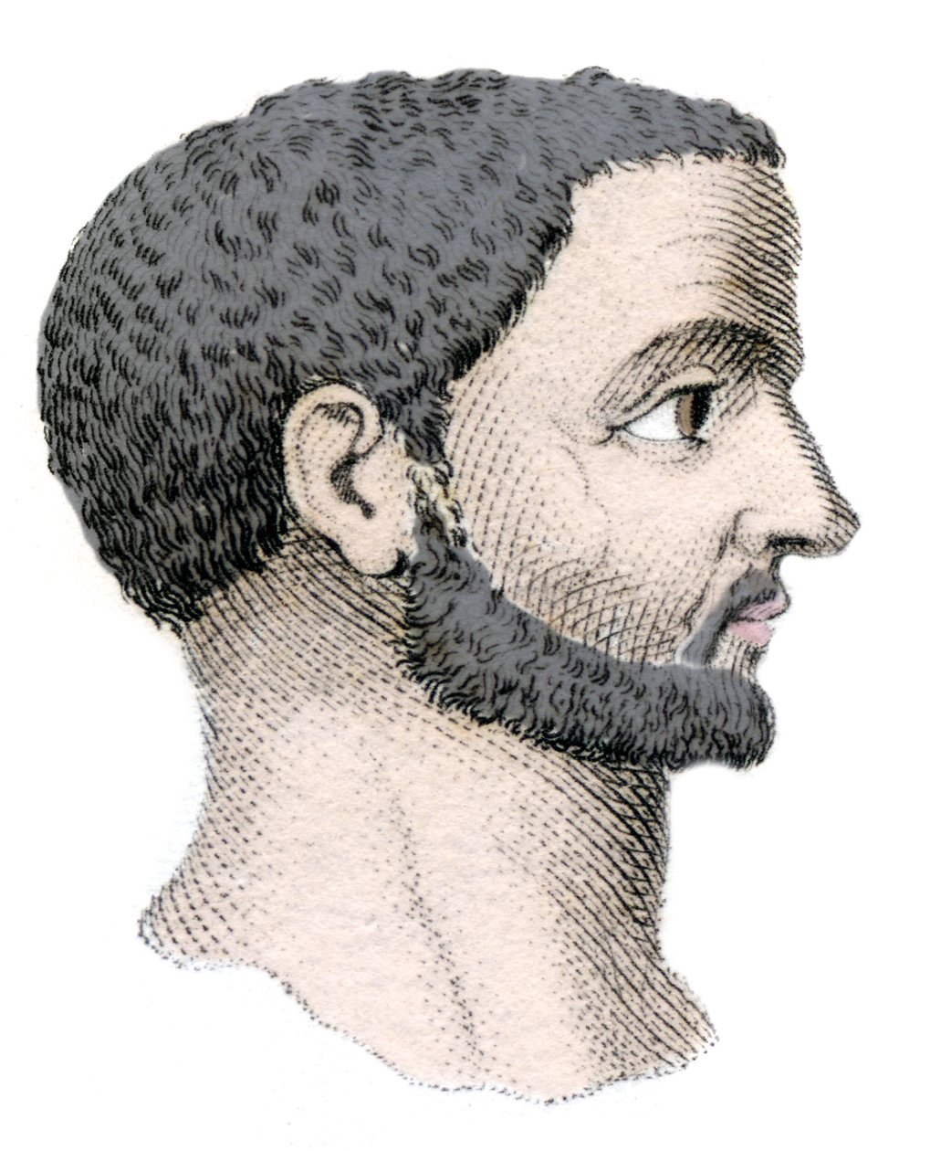 Muotokuva Diocletianuksesta (Gaius Aurelius Valerius Diocletianus, 245-316), Rooman keisarista 284-305. Kaiverrus 1800-luvulta. tekijältä Unknown artist