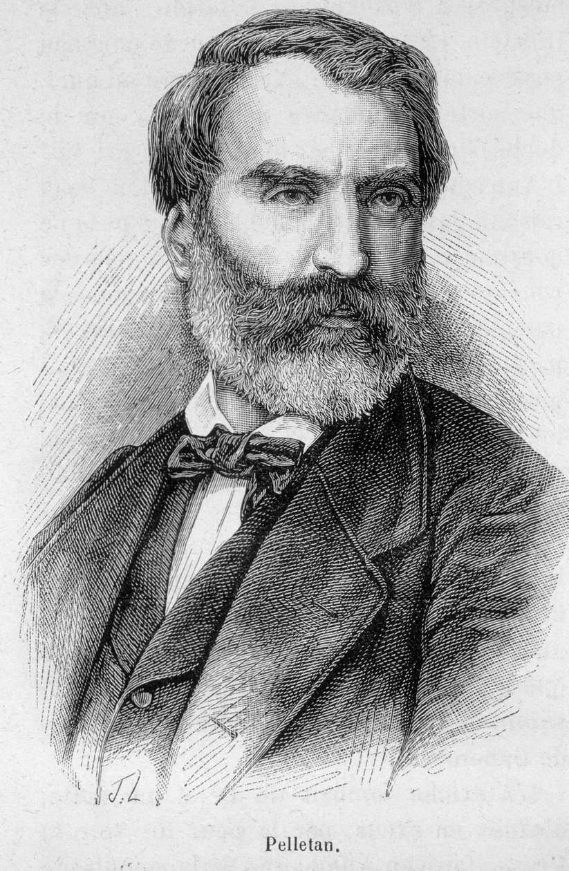 Eugene Pelletanin (1813-1884), ranskalaisen toimittajan, kirjailijan ja poliitikon muotokuva. tekijältä Unknown artist