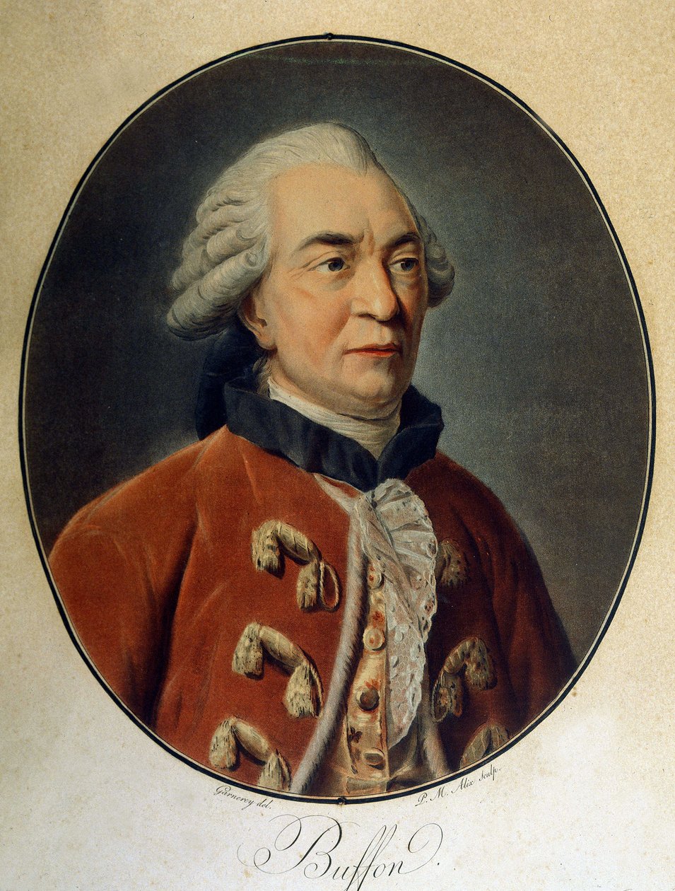 Georges Louis Leclercin muotokuva, Buffonin kreivi (1707 - 1788), ranskalainen luonnontieteilijä ja kirjailija. tekijältä Unknown artist