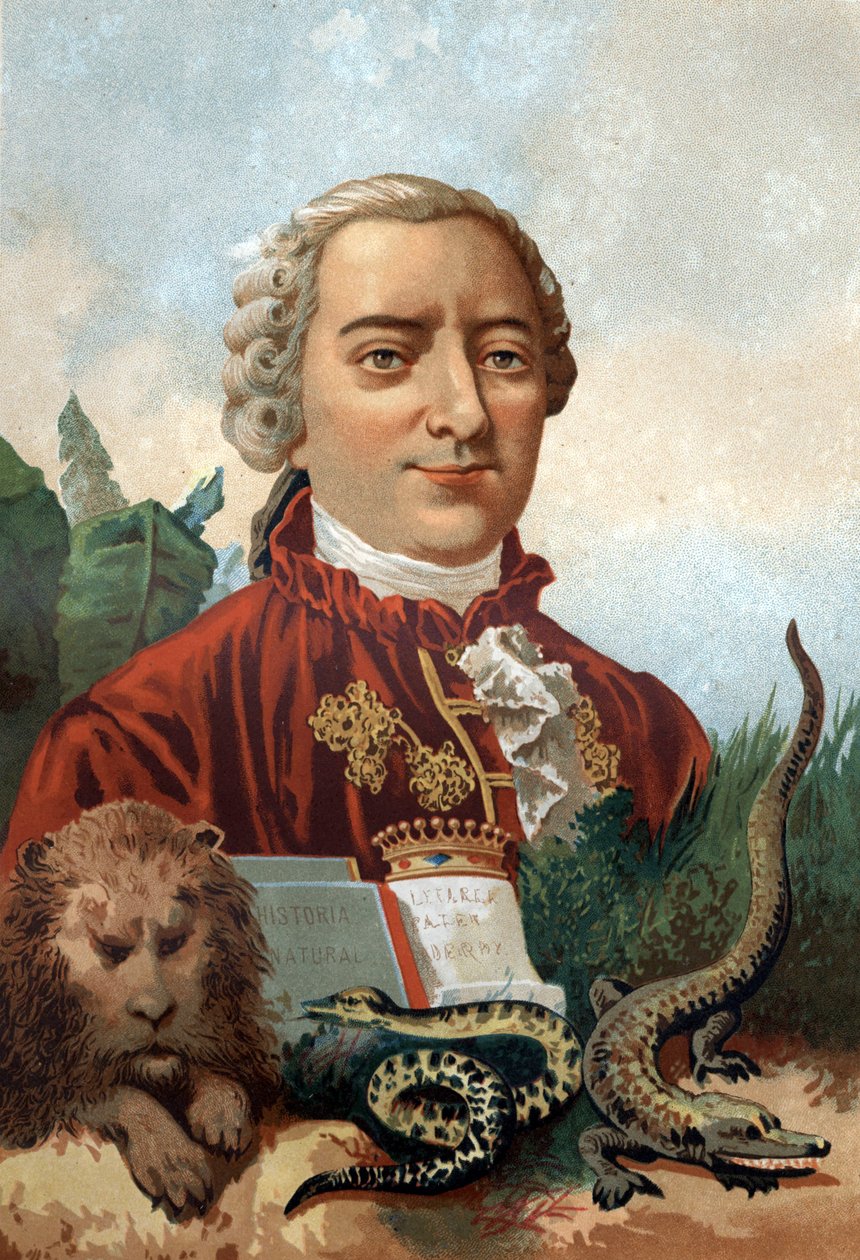 Georges Louis Leclercin muotokuva, Buffonin kreivi (1707 - 1788), ranskalainen luonnontieteilijä ja kirjailija. Kromolitografia 1800-luku. Louis Figuierin "Tiede ja sen miehet" jälkeen. Barcelona 1881 tekijältä Unknown artist