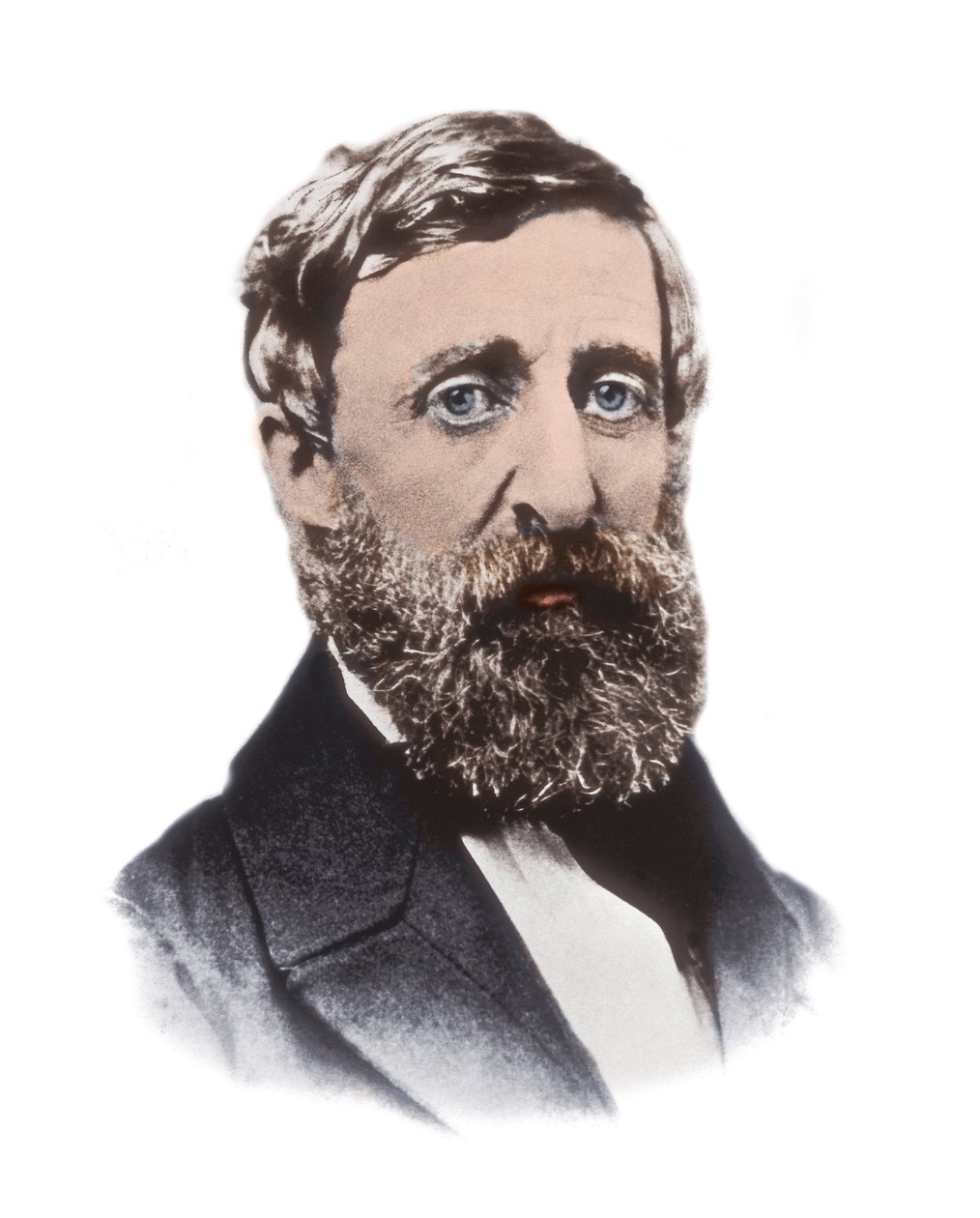 Henry David Thoreaun (1817-1862) muotokuva - yhdysvaltalainen esseisti, runoilija, filosofi, abolitionisti, luonnontieteilijä, veronvastustaja, kehityskriitikko, katsastaja ja historioitsija tekijältä Unknown artist