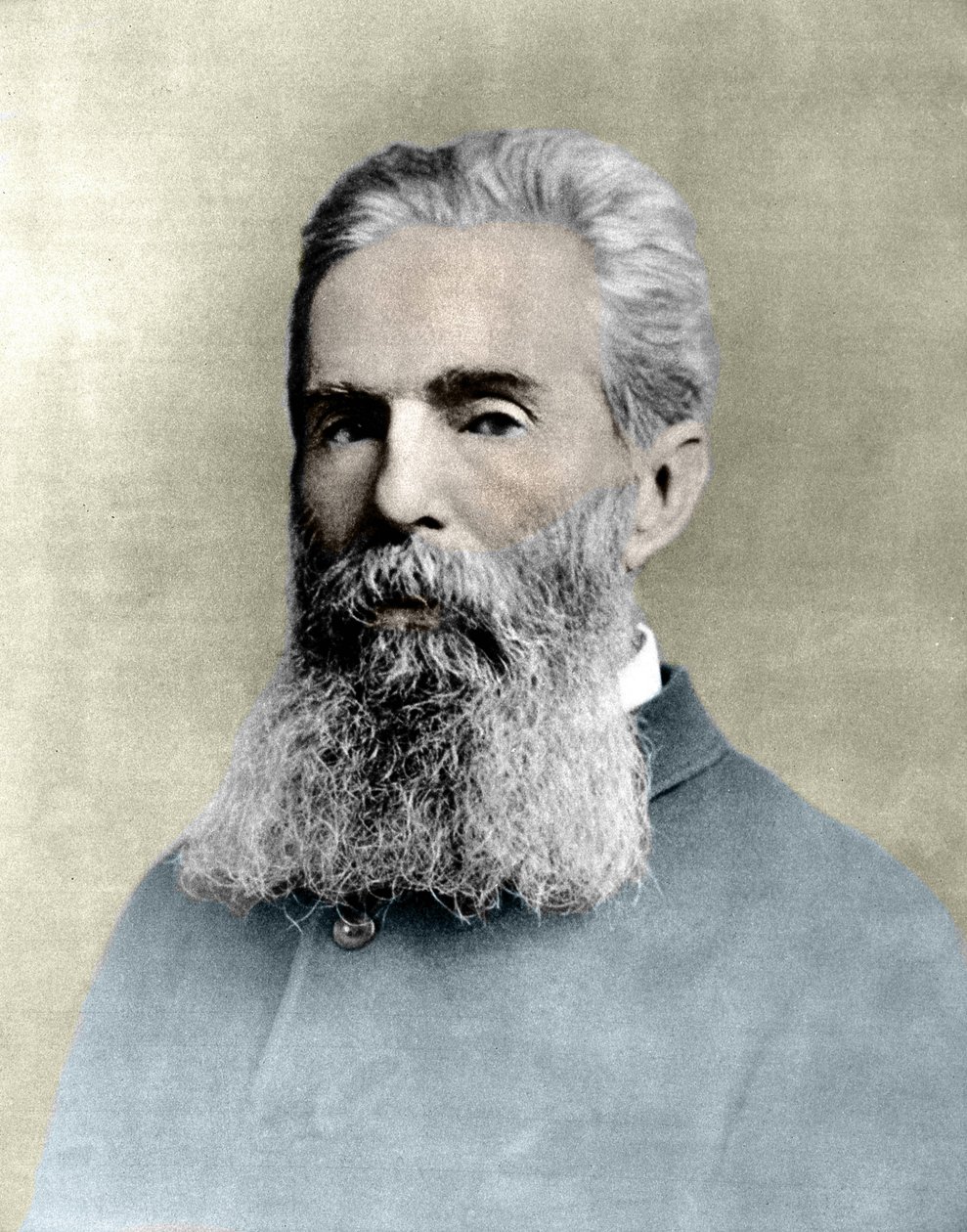 Amerikkalaisen kirjailijan Herman Melvillen (1819-1891) muotokuva. tekijältä Unknown artist