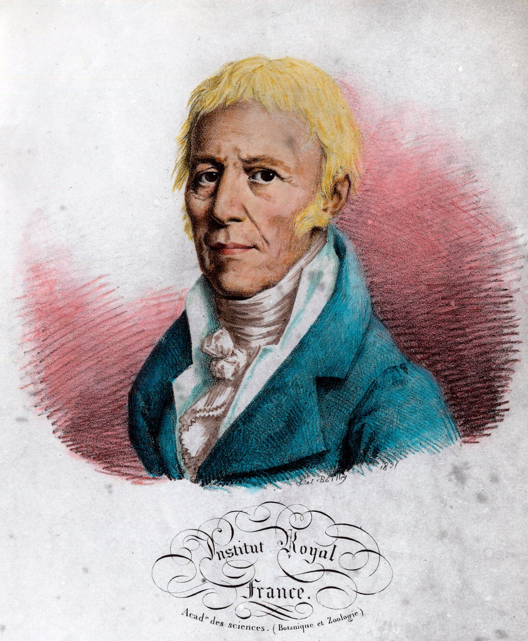 Jean Baptiste Lamarckin (1744-1829), ranskalaisen luonnontieteilijän muotokuva. Kaiverrus 1800-luvulta. Yksityinen kokoelma. tekijältä Unknown artist