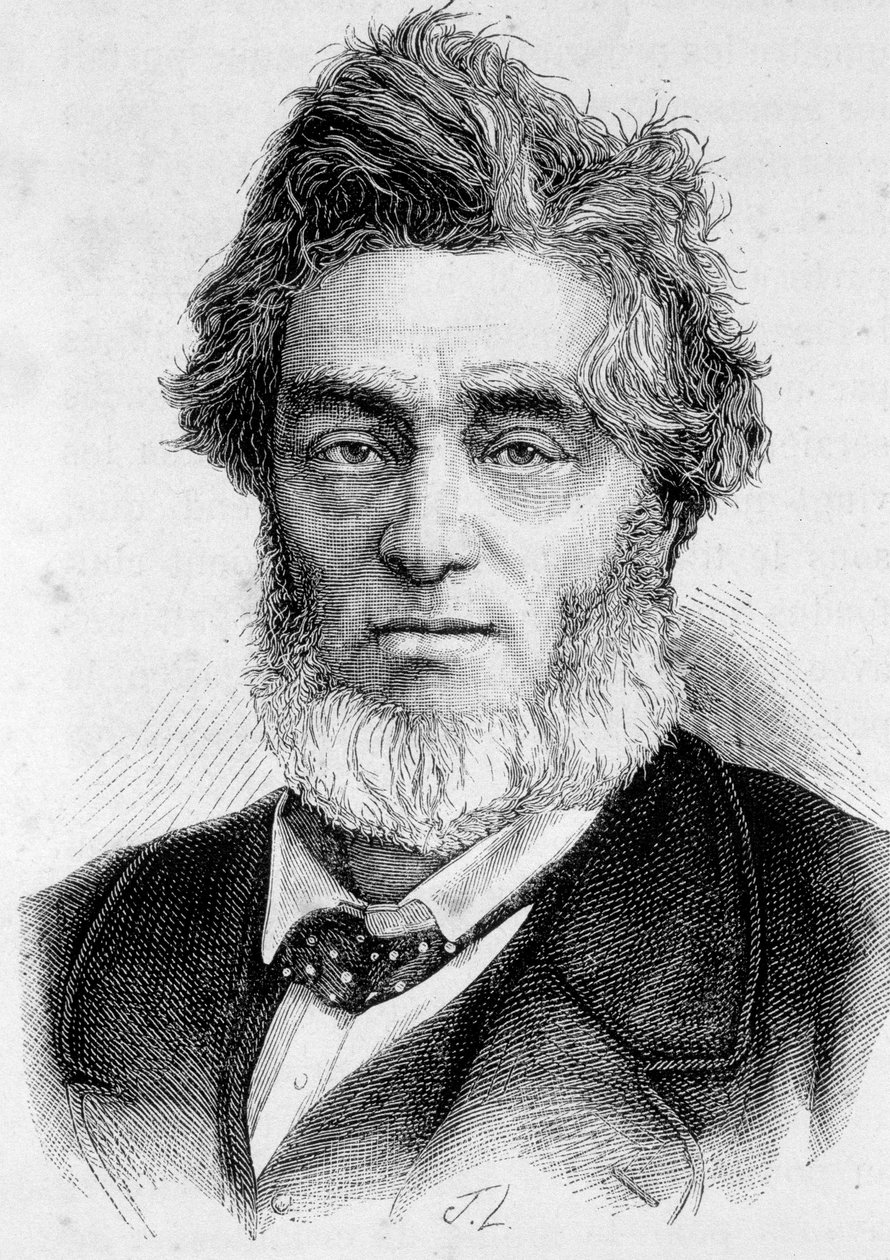 Ranskalaisen poliitikon Jules Favren (1809-1880) muotokuva. tekijältä Unknown artist