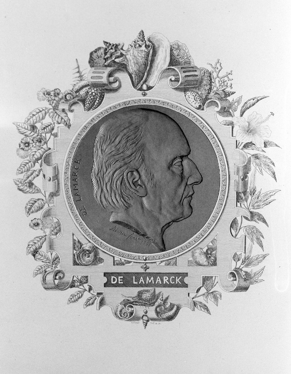 Lamarckin muotokuva (1744 - 1829). tekijältä Unknown artist