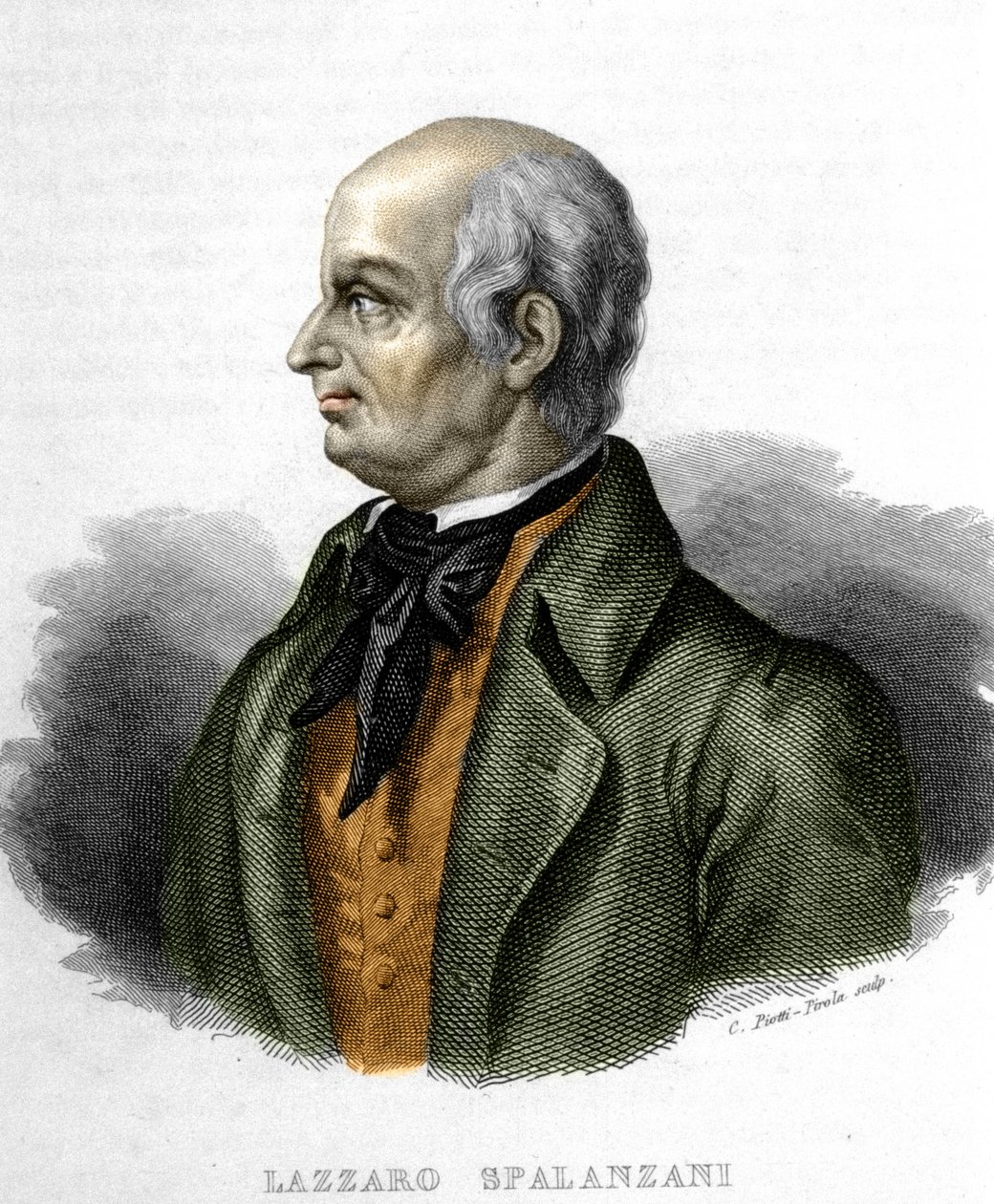 Lazzaro Spalanzanin (tai Spallanzanin), italialaisen biologin (1729 - 1799) muotokuva tekijältä Unknown artist