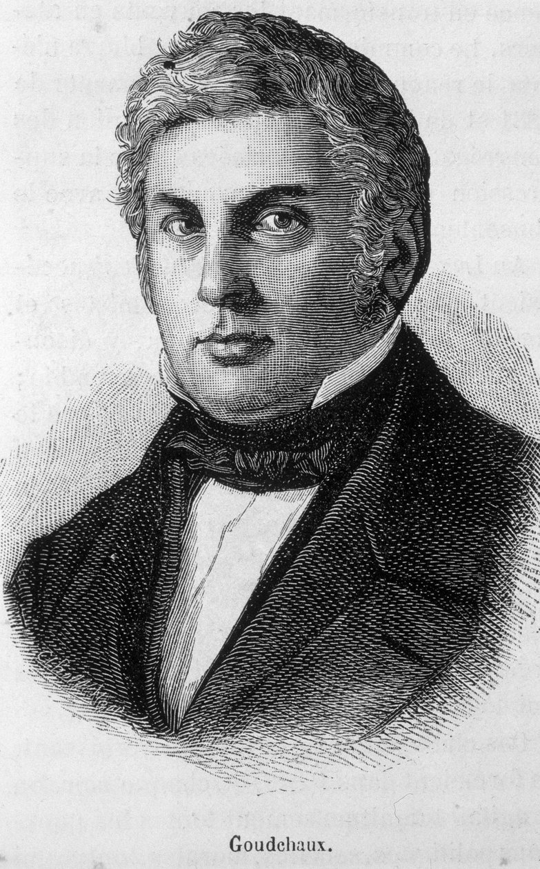 Michel Goudchaux