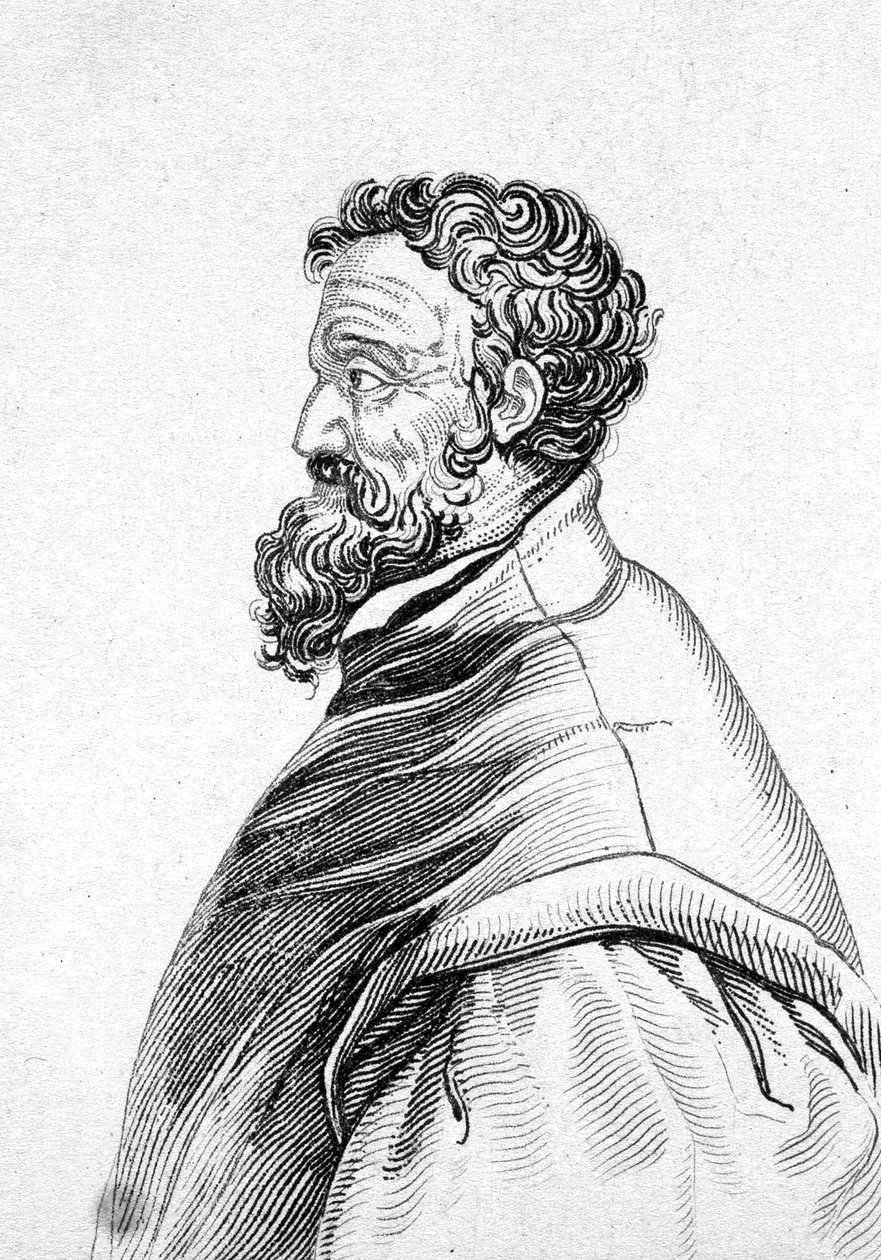 Michelangelo Buonarroti dit Michel Ange (Michelangelo tai Michelangelo) muotokuva tekijältä Unknown artist