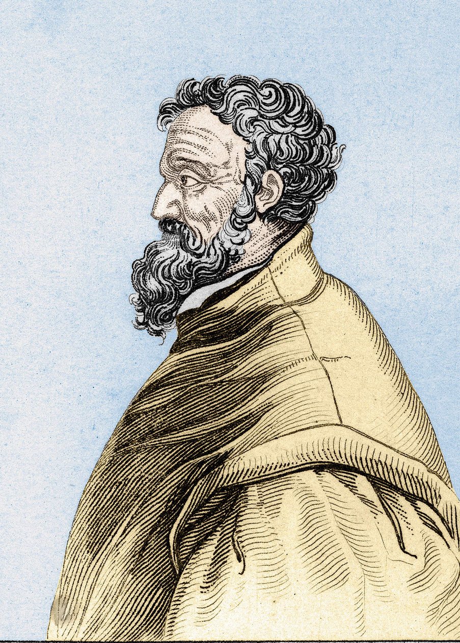 Michelangelon muotokuva Buonarroti dit Michelangelo (Michelangelo tai Michel Ange tekijältä Unknown artist