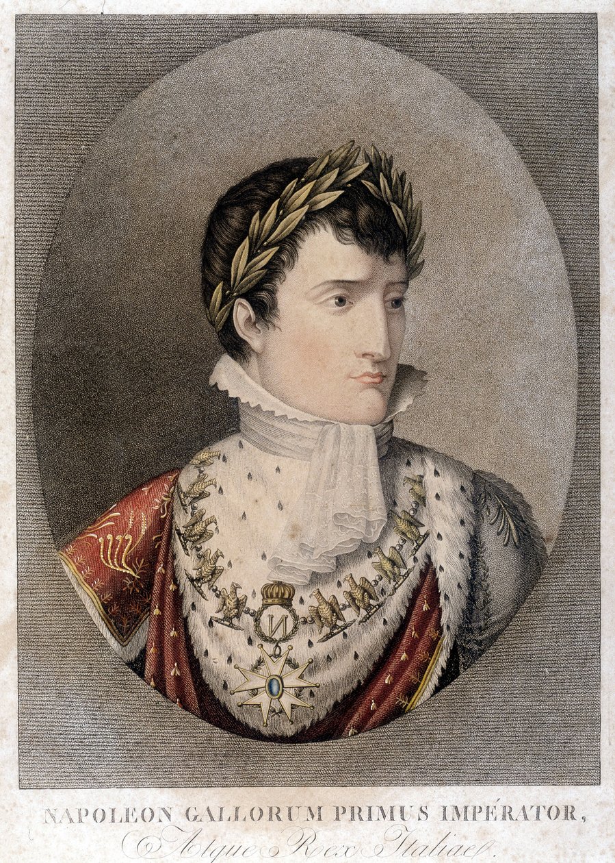 Keisari Napoleonin muotokuva. tekijältä Unknown artist