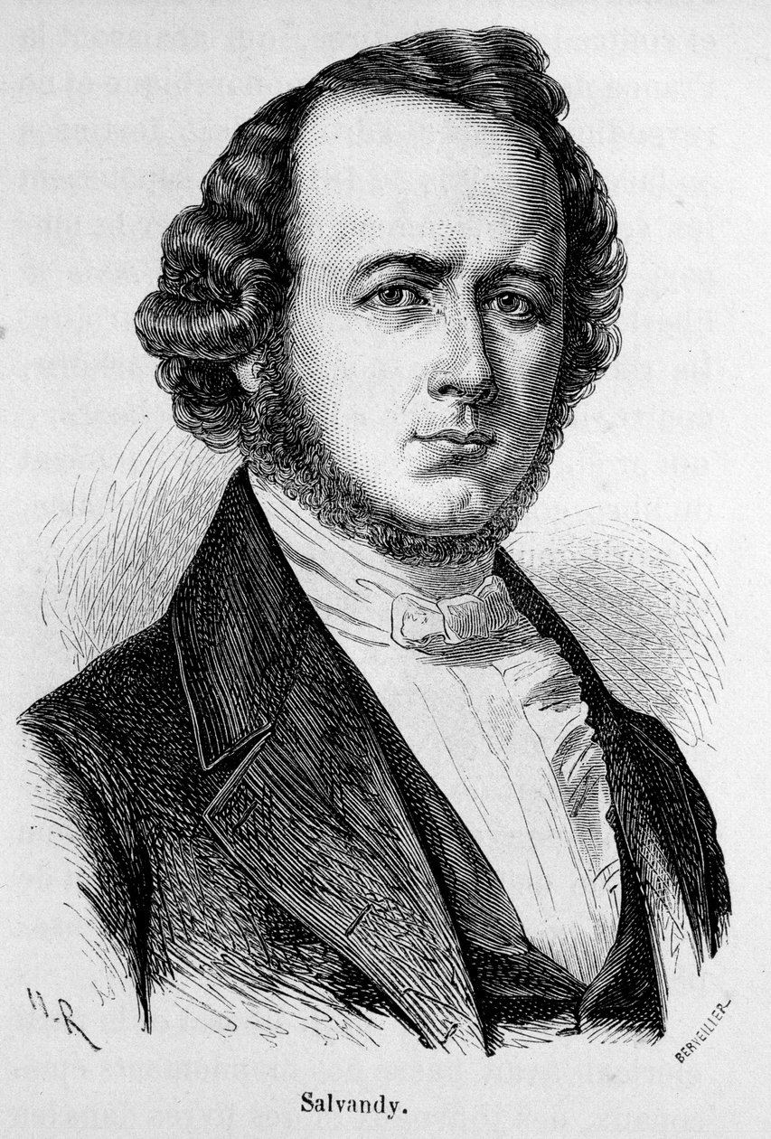 Muotokuva Narkissus Akhilleuksesta, Earl of Salvandy, ranskalainen poliitikko (1795 - 1856) tekijältä Unknown artist