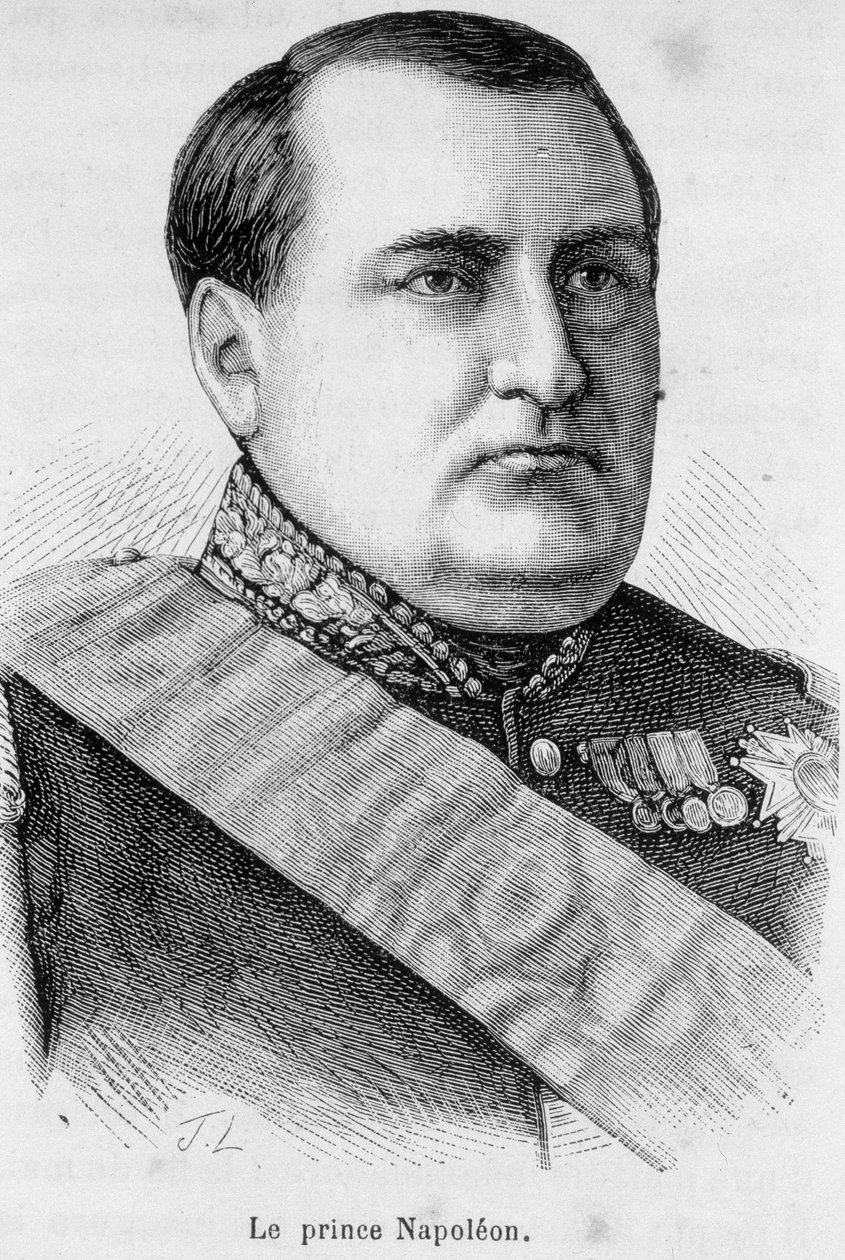 Prinssi Napoleonin muotokuva tekijältä Unknown artist