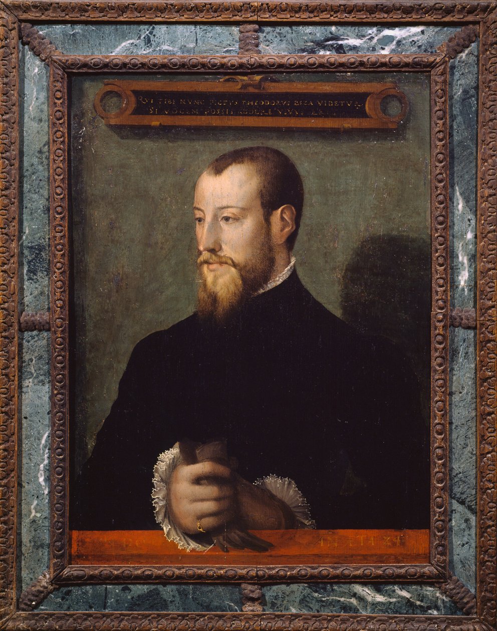 Theodore Beza tai Theodore de Beze (1519-1605) muotokuva 24-vuotiaana, ranskalainen teologi, nimettömän taidemaalarin maalaus tekijältä Unknown artist