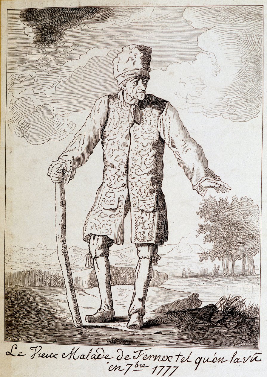 Voltairen (1694 - 1778), ranskalaisen kirjailijan ja filosofin, vanhusten muotokuva. tekijältä Unknown artist