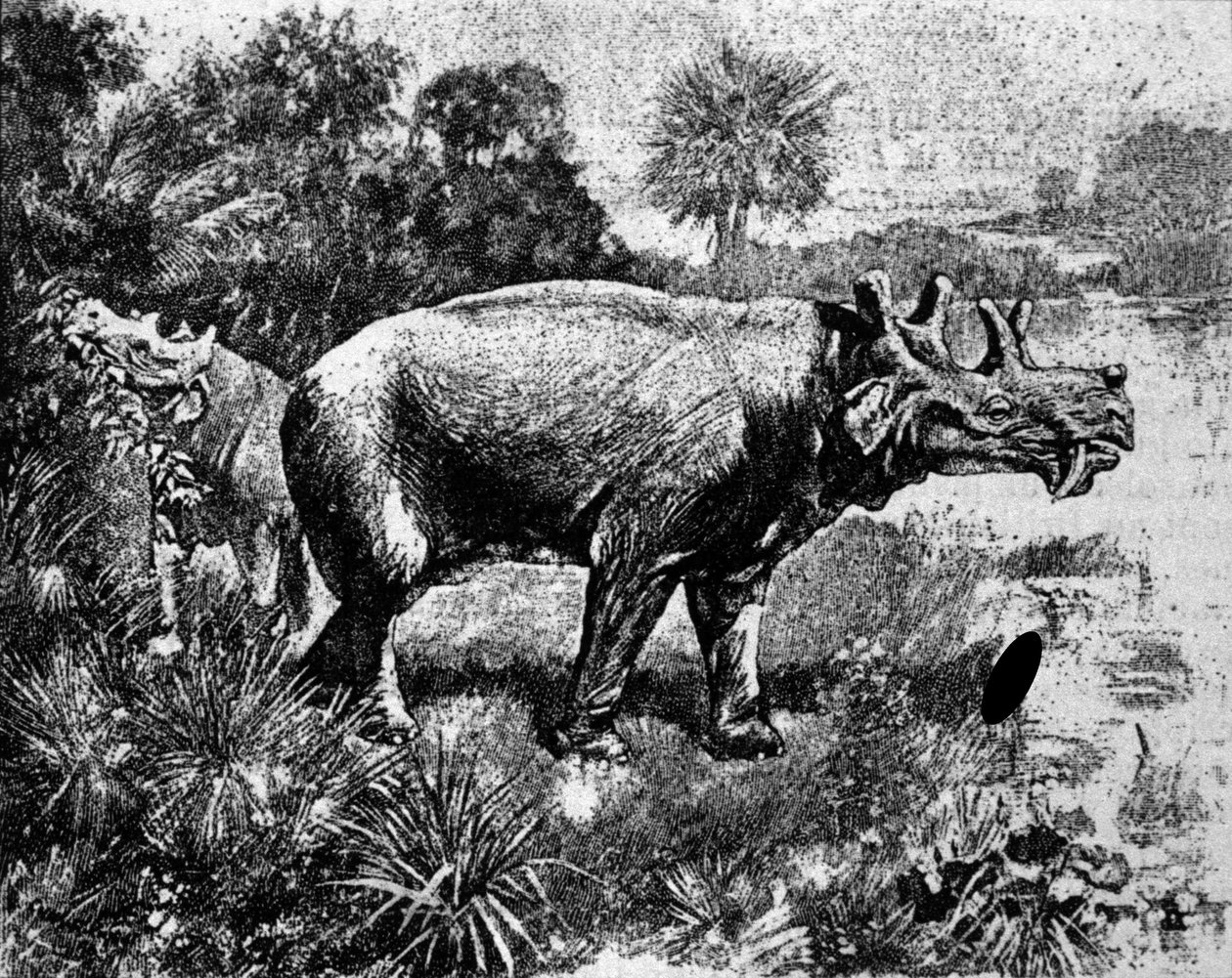 Esihistoria: esitys nelisarvisesta Uintatherium-dinosauruksesta. tekijältä Unknown artist