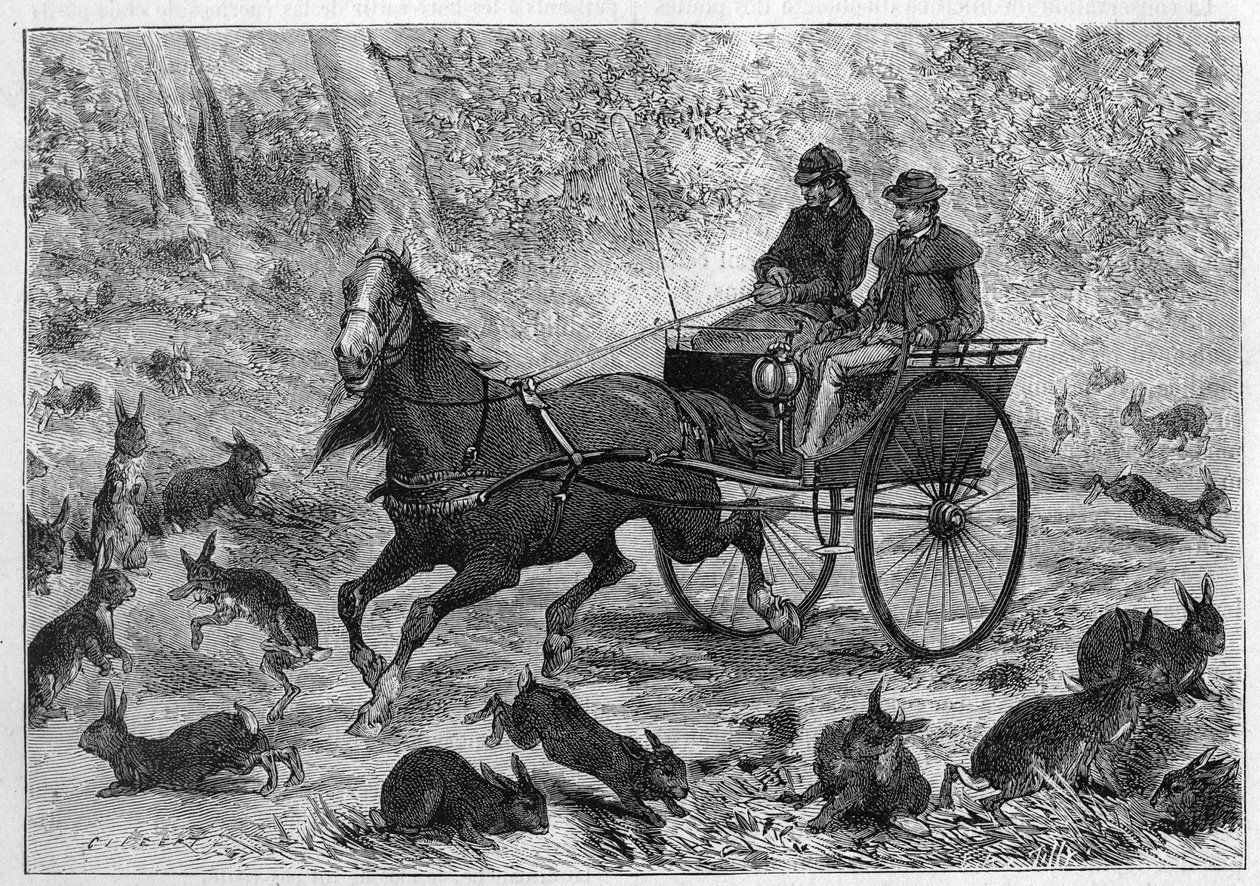 Kanien tungosta Australiassa: Mr. Williamsonin auto kulkee kanien läpi. Kaiverrus "" La Nature: revue des sciences et de leurs applications aux arts et a l