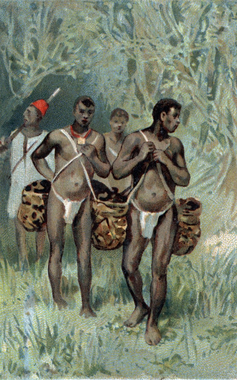 Kumin erottelu Kongossa. 1800-luvun lopun kromolitografia. tekijältä Unknown artist