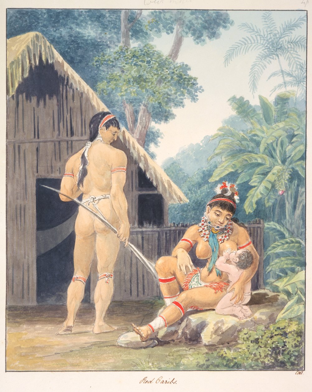 Red Caribs, n. 1843-50 (akvarelli) tekijältä Unknown artist