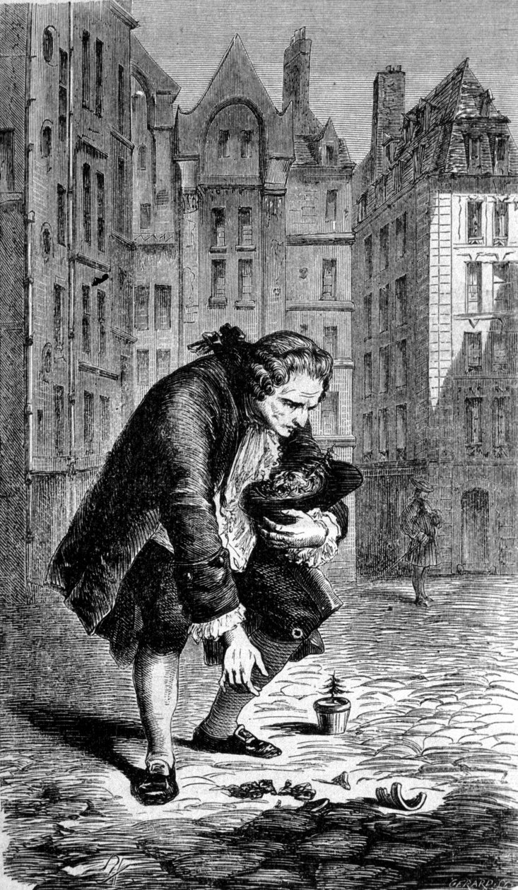 Bernard de Jussieun esitys tuomassa setriä Libanonista Ranskaan vuonna 1734. Kaiverrus tekijältä Unknown artist