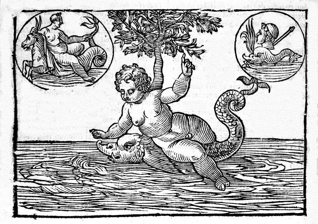 Edustus Inosta, meren jumalasta, ja hänen poikastaan ​​Palemonista. Kaiverrus "Mytologiasta tai tarinoiden selityksistä", jonka on antanut Natalis Comitis. 1637 tekijältä Unknown artist