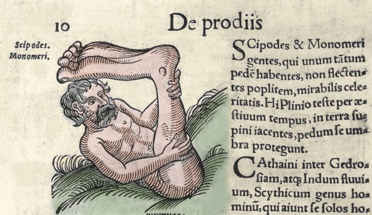 Sciapod-hirviön esitys Wolfhartin (Conrad Lycosthene) "The Book of Monsters and the Chronicle of Basileae" -kaiverrus tekijältä Unknown artist