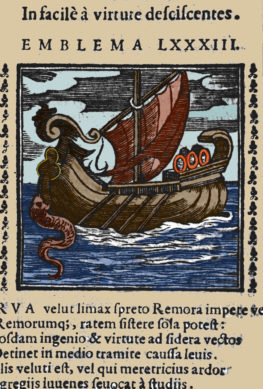 Esitys remorasta, joka Pliniusin, Saint Ambroseen ja Rabelais