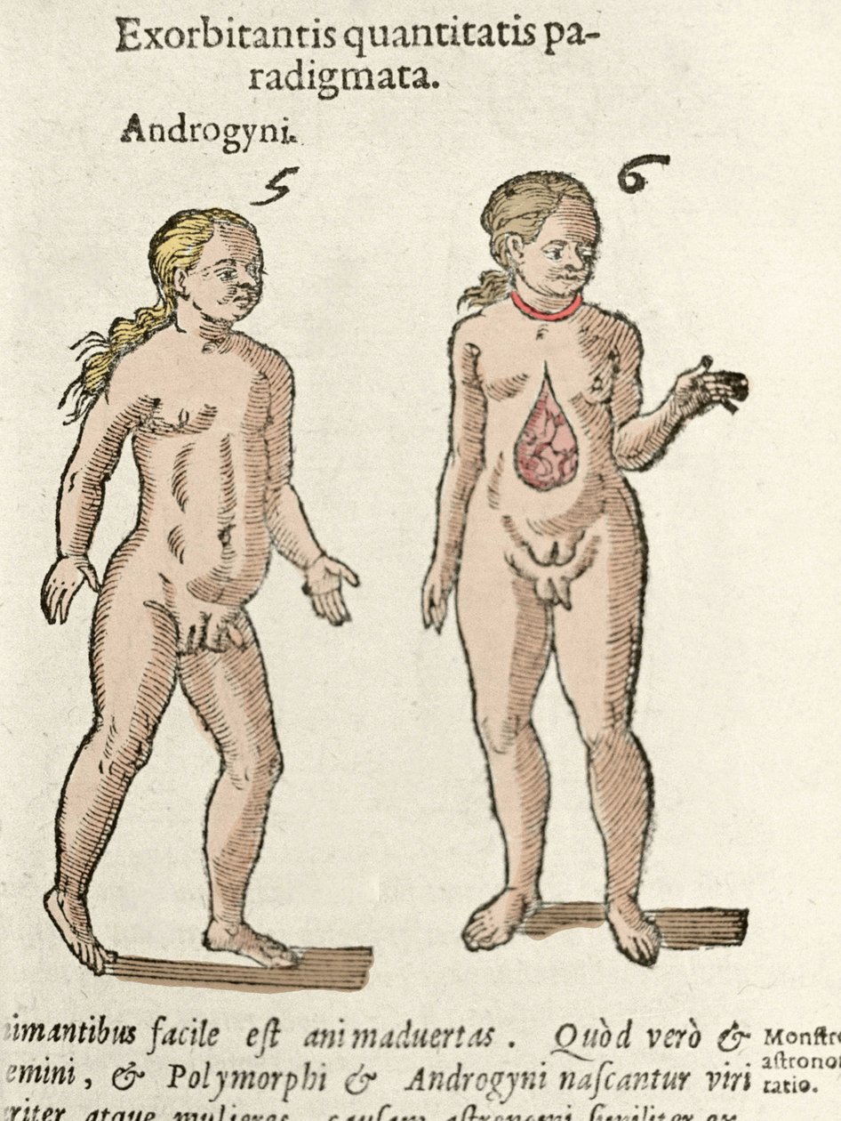 Edustus androgyynistä ja hermafrodiittista. Levy otettu De natura Divinis caracterisista””, kirjoittanut Cornelio Gemma 1575 tekijältä Unknown artist