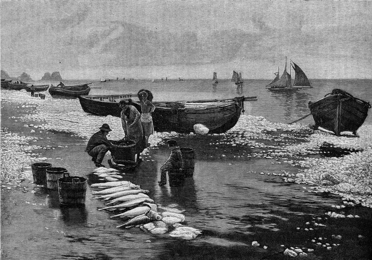 Bretagnen Belle Islessä (Belle-Isle) lakossa olevien kalastajien paluu. Kaiverrus "" Le Journal de la jeunesse "" tekijältä Unknown artist